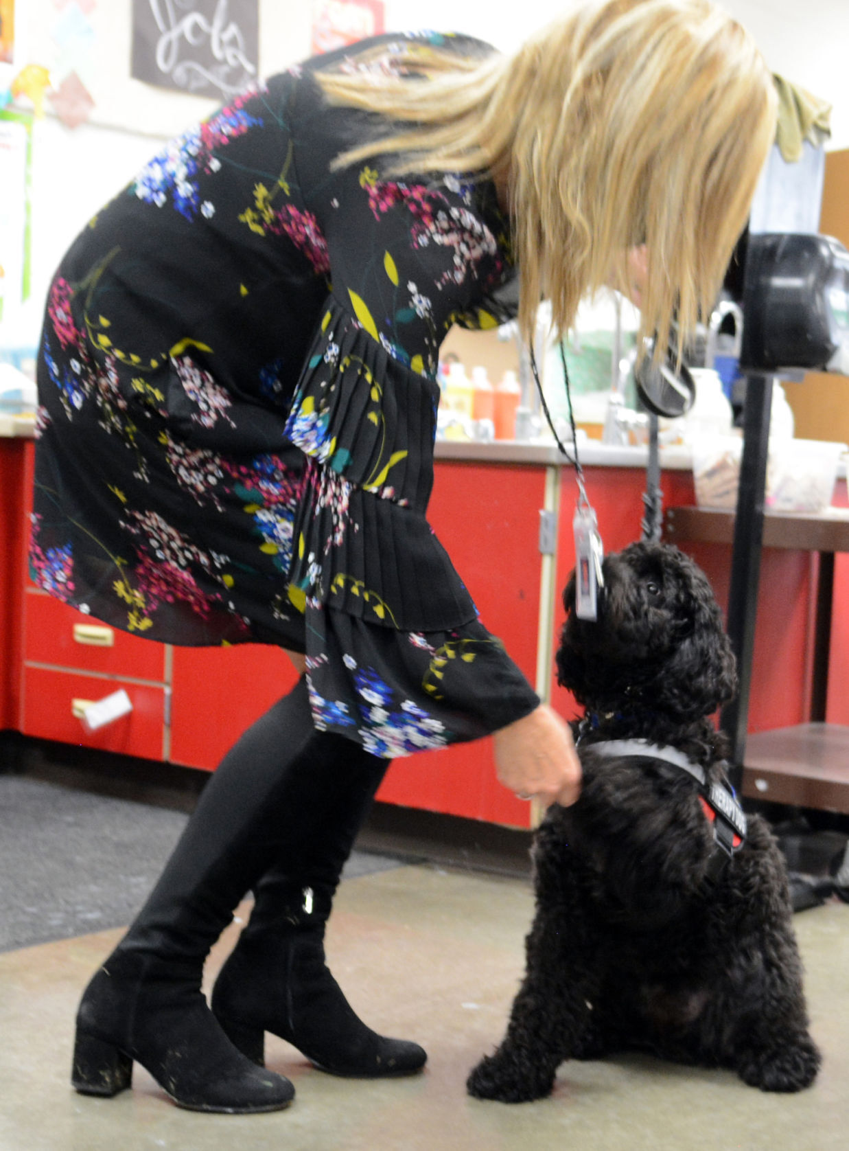 101921-port-news-therapy-dog-05